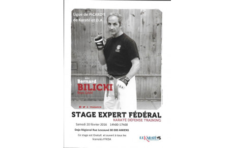 Stage BELICKI Samedi 20 février 2016 Après-Midi 