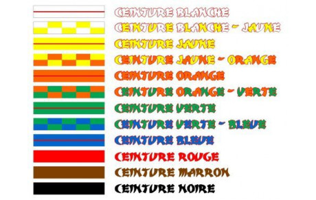 Résultats passages de ceintures décembre 2019
