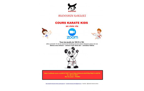 Cours KARATE KIDS en visio