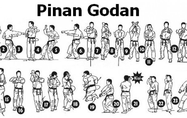 Katas : Les 5 Katas Pinan 